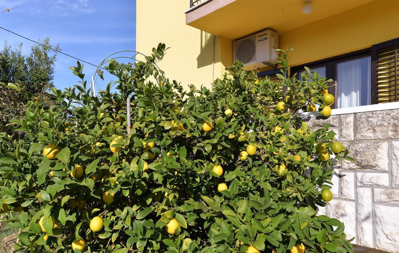 PUY Apartments Danijel 1956 מראה חיצוני תמונה